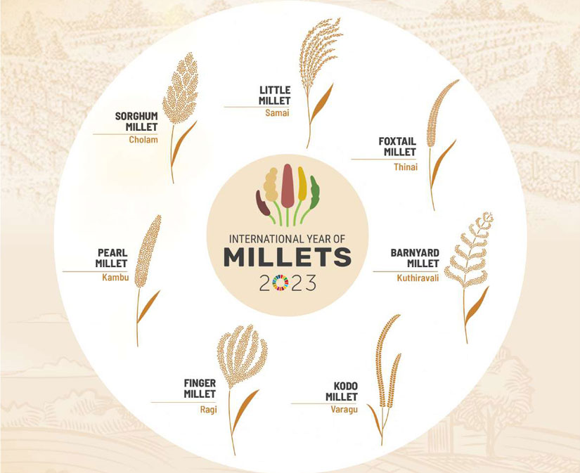 millet